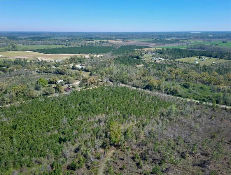 BETHLEHEM RD, Cottondale, FL 32431