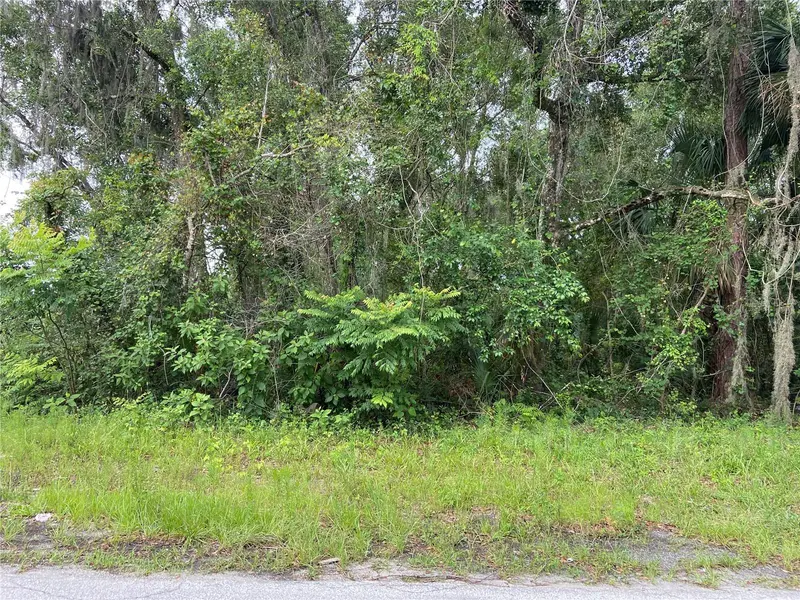 WILSON AVE, Deland, FL 32720