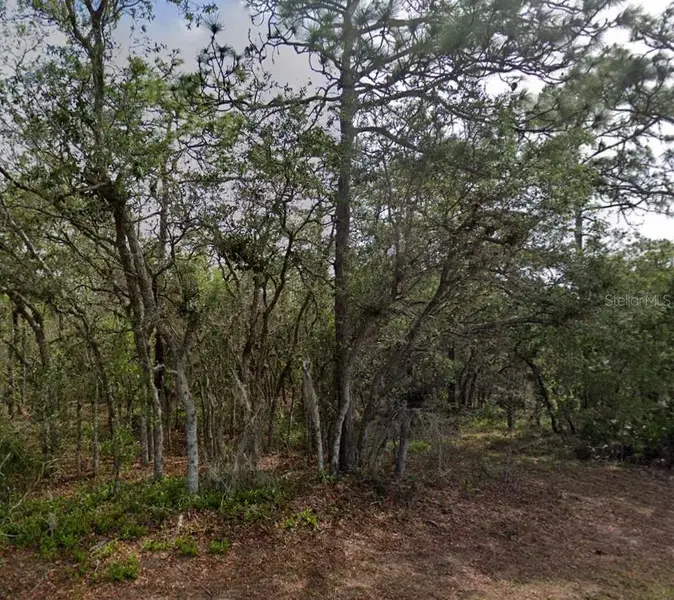 10 MILBARK DR, Homosassa, FL 34446