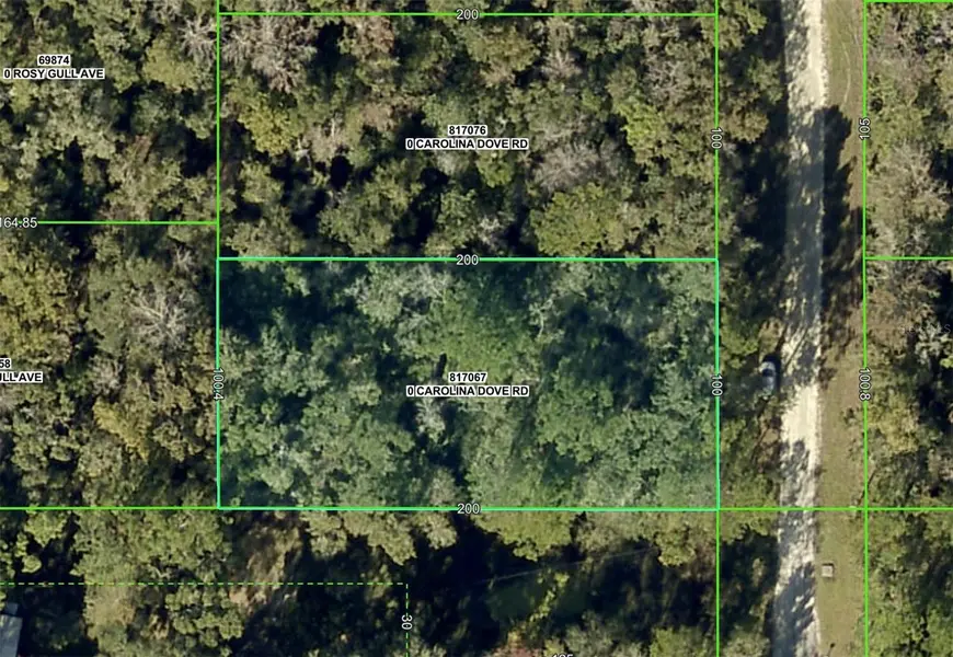 Lot 3 CAROLINA DOVE RD, Weeki Wachee, FL 34614