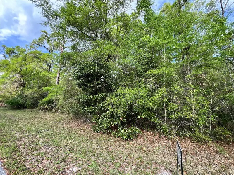 NW 74TH CT #111, Chiefland, FL 32626