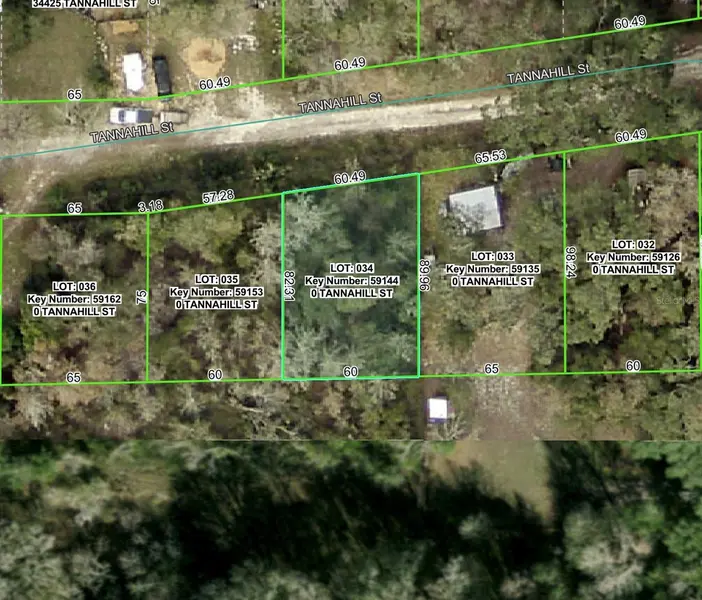 TANNAHILL ST, Dade City, FL 33523