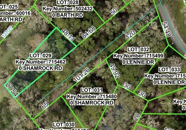 SHAMROCK RD, Dade City, FL 33523