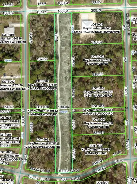 PACIFIC NIGHTHAWK AVE, Brooksville, FL 34614