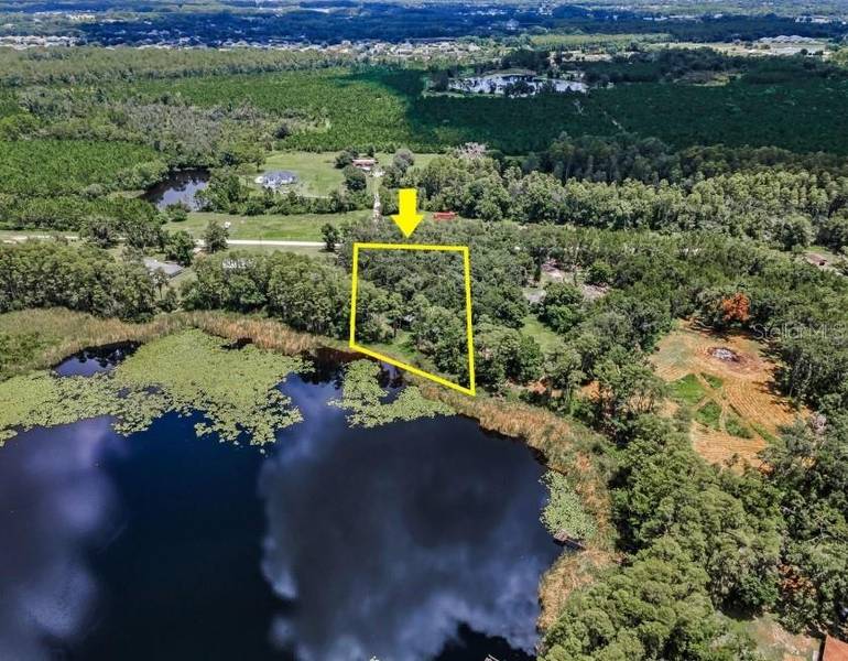 4635 COBB RD, Land O Lakes, FL 34638