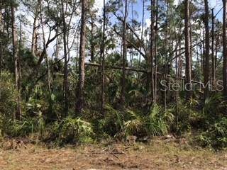 RIPLEY ST, North Port, FL 34286