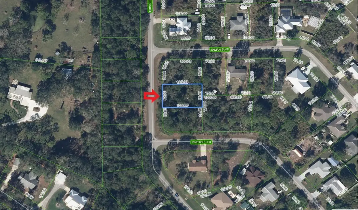 1541 BUCK ST, Lake Placid, FL 33852