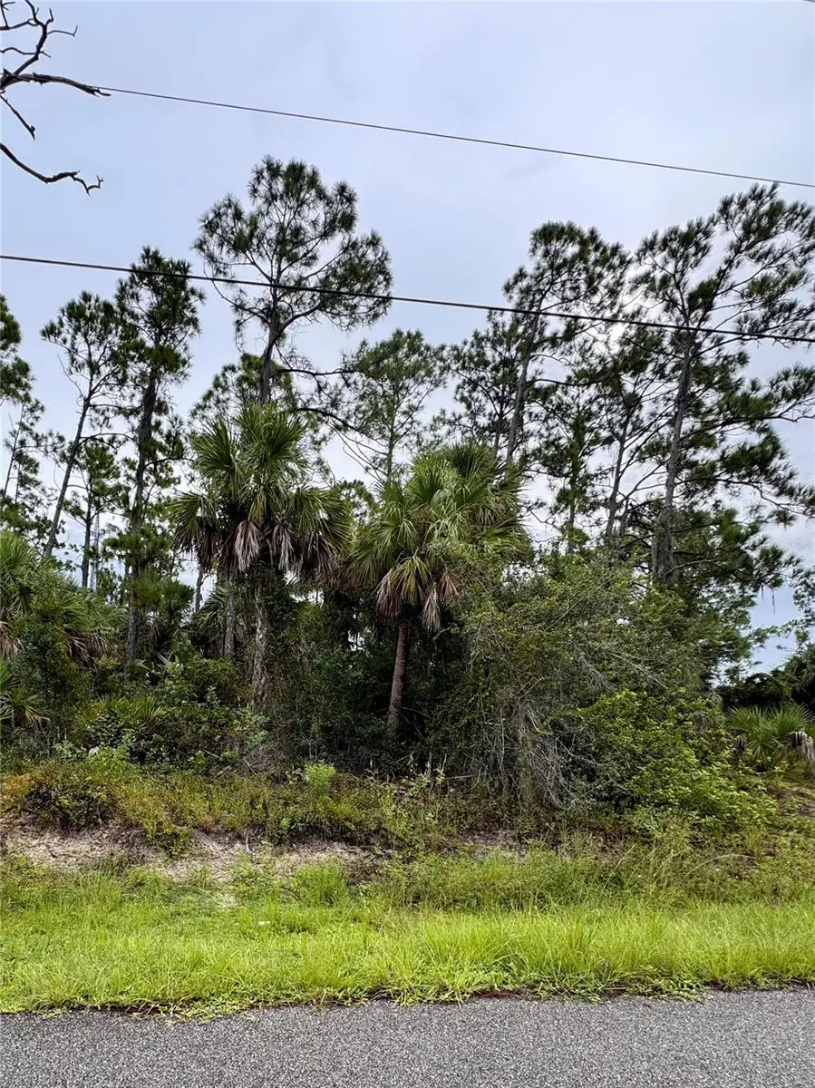 SADNET LN, North Port, FL 34286