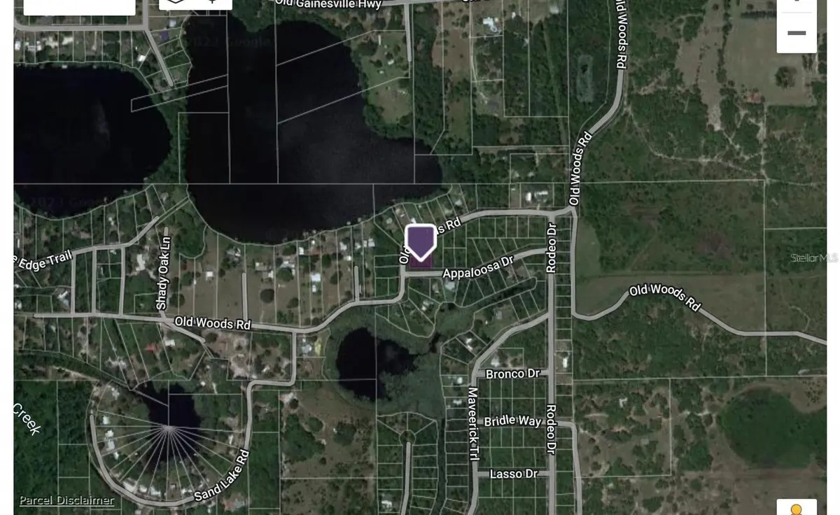 OLD WOODS RD, Interlachen, FL 32148