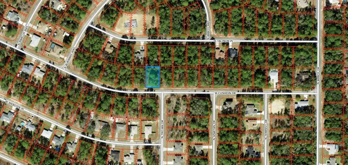 3357 W CUSHION DR, Citrus Springs, FL 34433