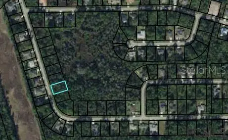 41 SECRETARY TRL, Palm Coast, FL 32164