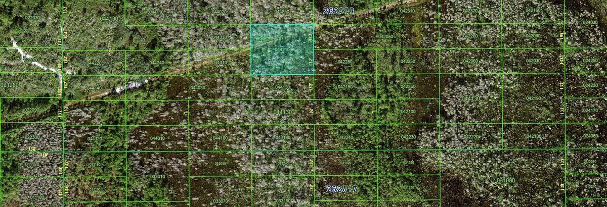 Polk City, FL 33868