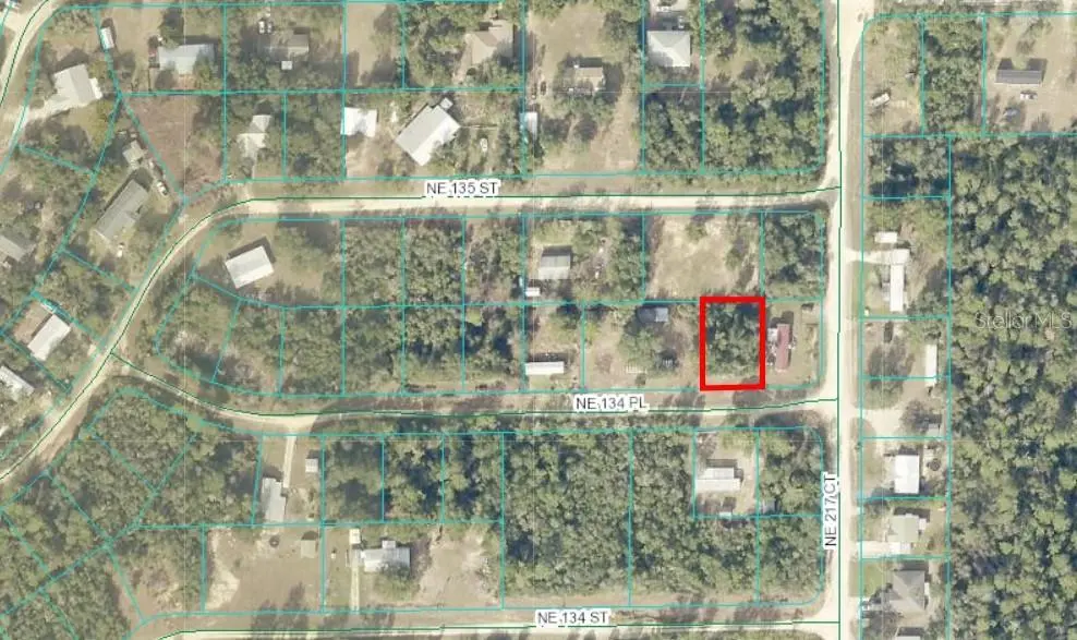 NE 134 PL, Salt Springs, FL 32134