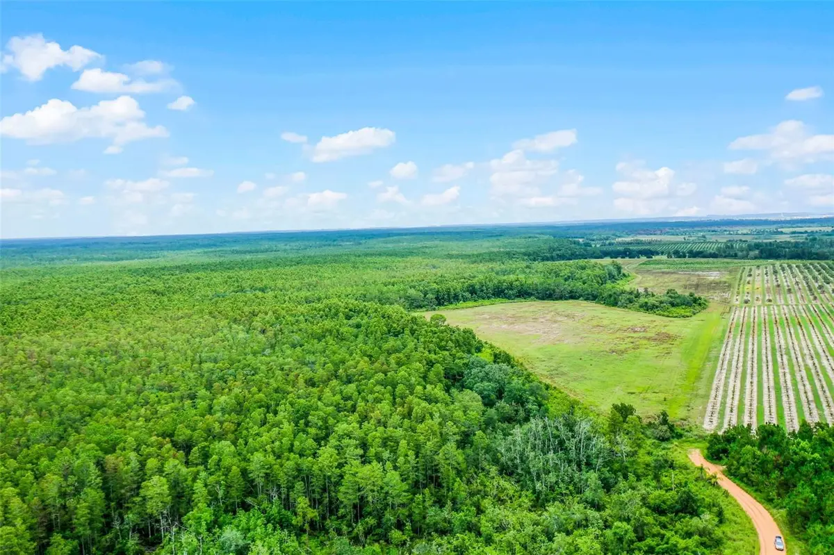 S BOGGY MARSH RD, Clermont, FL 34711