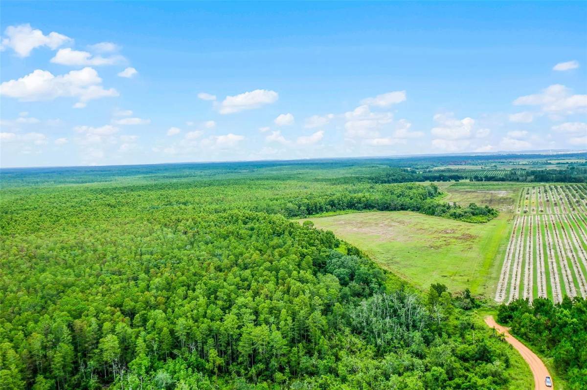 S BOGGY MARSH RD, Clermont, FL 34711