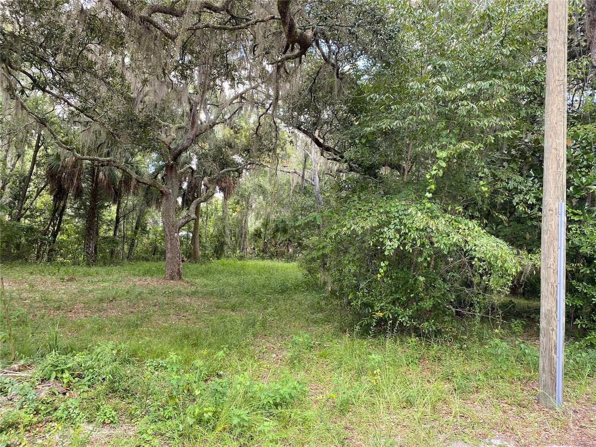 CR 448C, Lake Panasoffkee, FL 33538