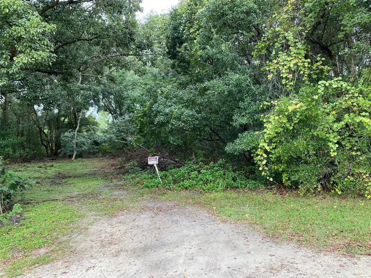 N WARDELL ST, Mount Dora, FL 32757