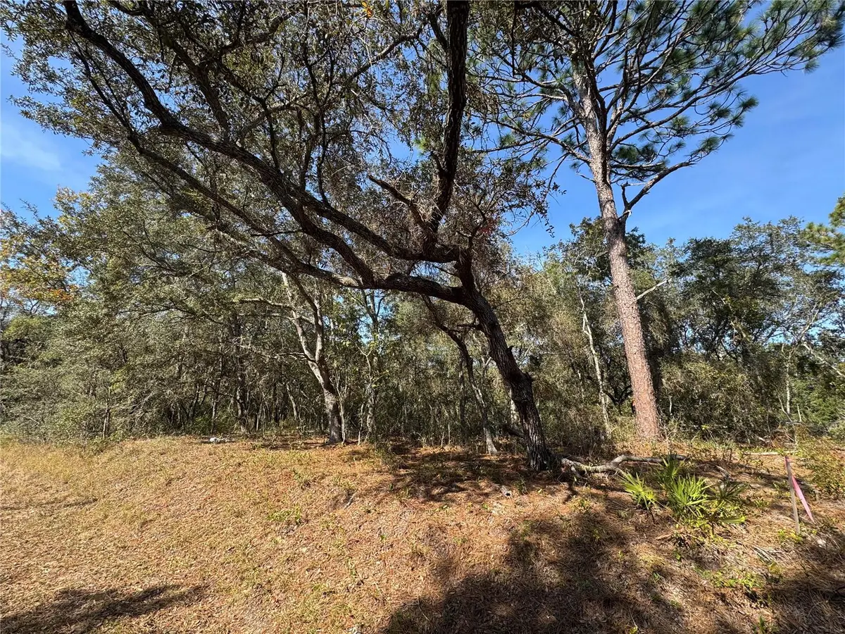 SE 115 PLACE RD, Ocklawaha, FL 32179