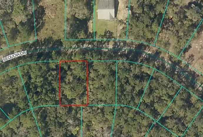 SEQUOIA DR, Ocklawaha, FL 32179
