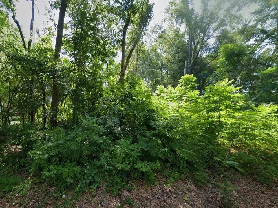 12213 NW 157TH ST, Alachua, FL 32615