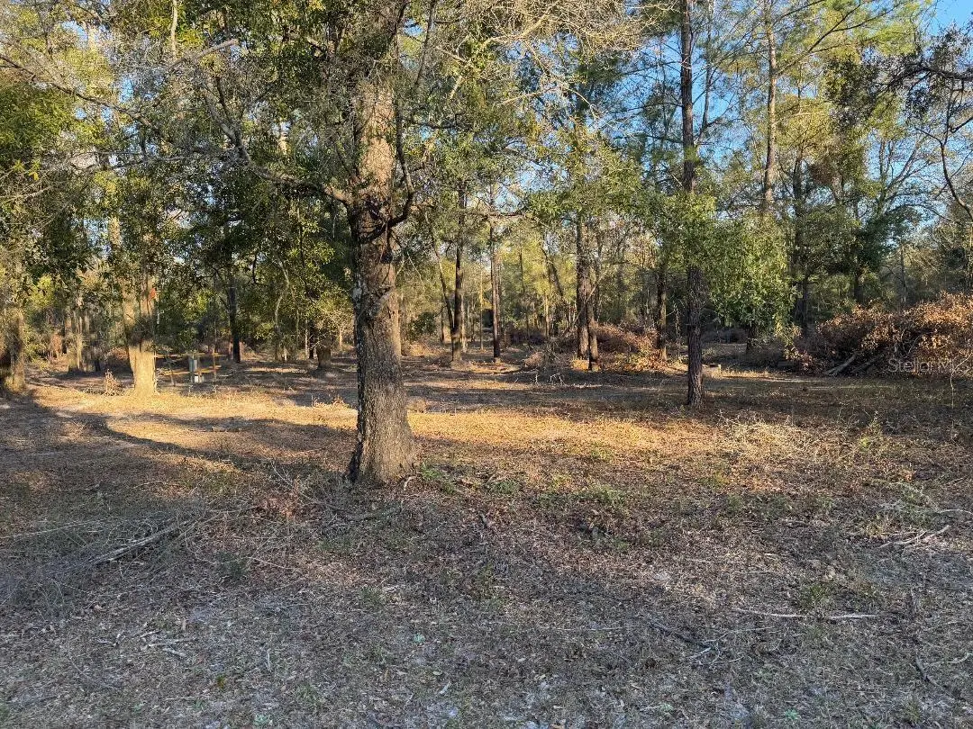 ROANOKE TERRACE, Fort White, FL 32038