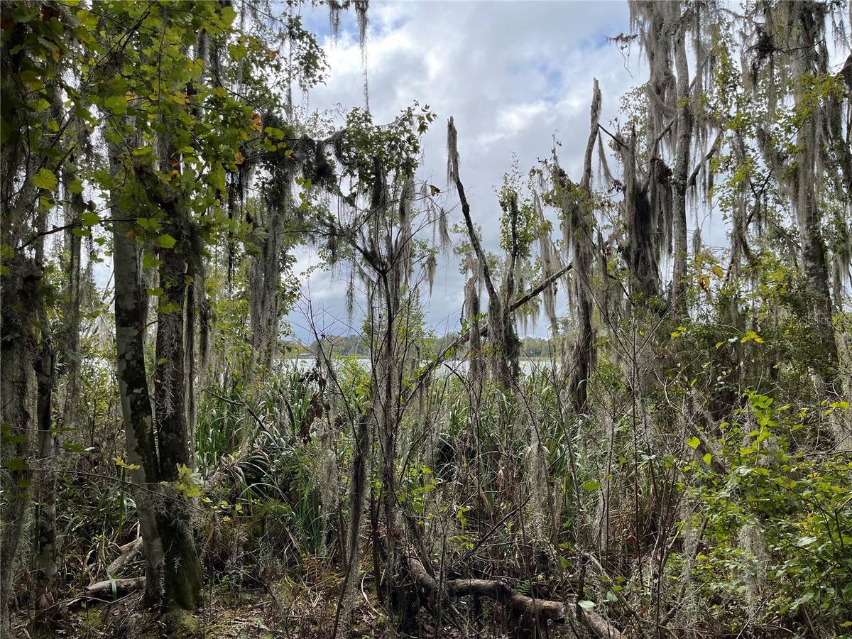 000 SE HAWTHORNE RD, Hawthorne, FL 32640