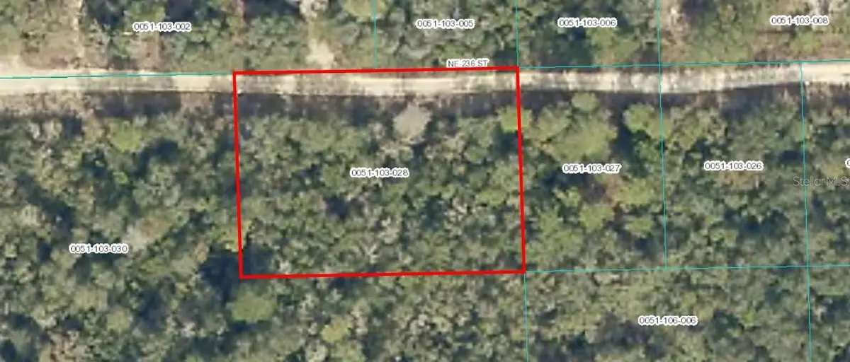 TBD NE 236 ST, Fort Mc Coy, FL 32134