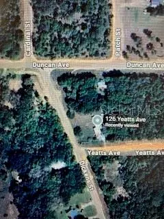 126 YEATTS AVE, Interlachen, FL 32148