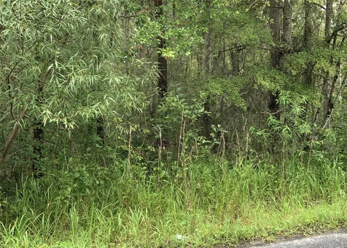 20616 NW 75TH ST, Alachua, FL 32615
