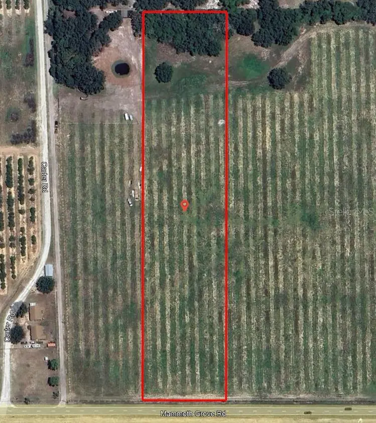 MAMMOTH GROVE RD, Lake Wales, FL 33898