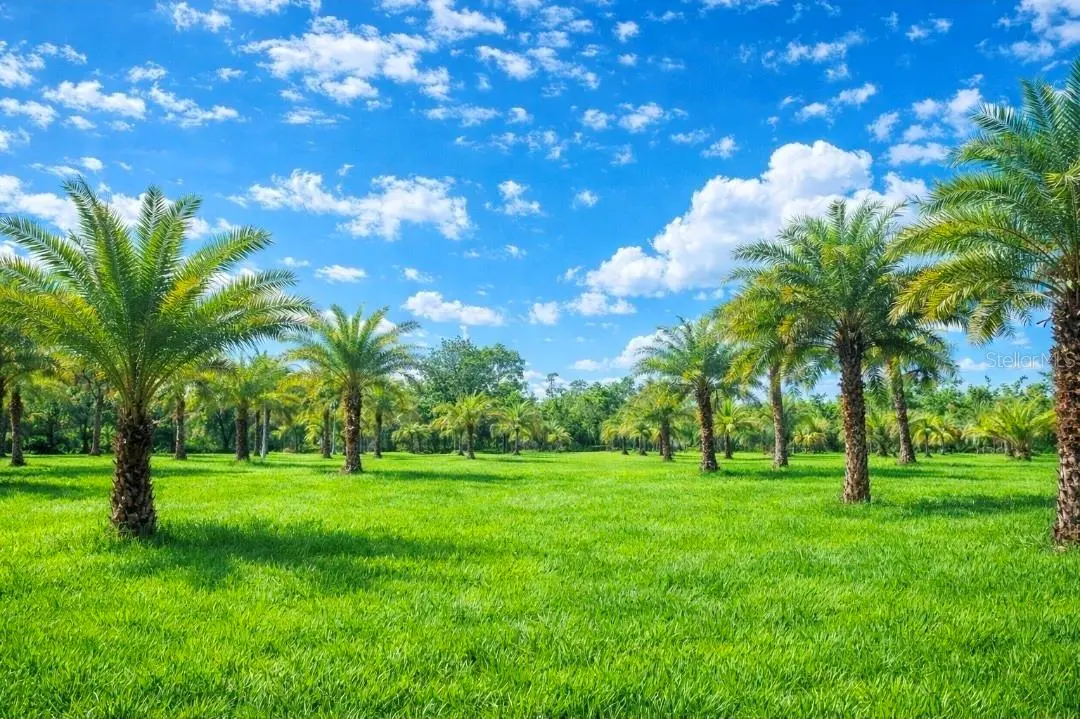 2625 GLENCOE FARMS RD, New Smyrna Beach, FL 32168