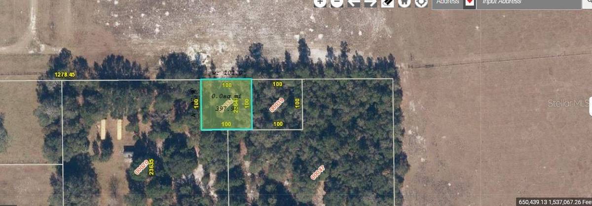1349 N FORT CHRISTMAS RD, Christmas, FL 32709