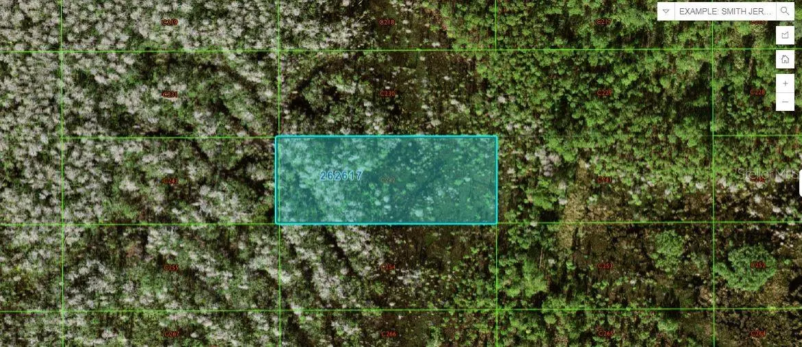 OLD GRADE RD, Polk City, FL 33868