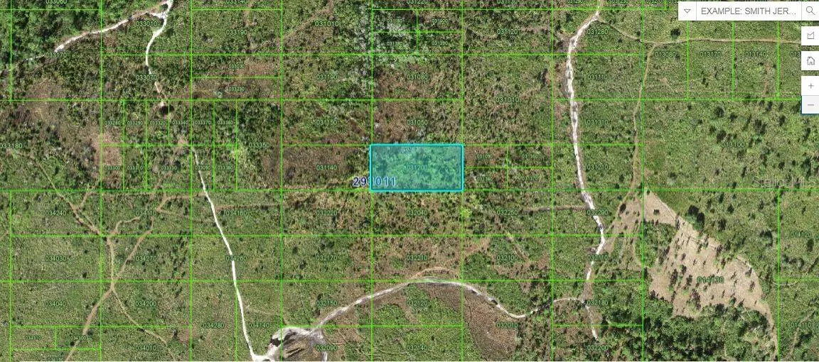 TIGER LAKE RD, Lake Wales, FL 33898