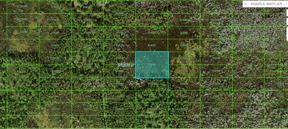 OLD GRADE RD, Polk City, FL 33868