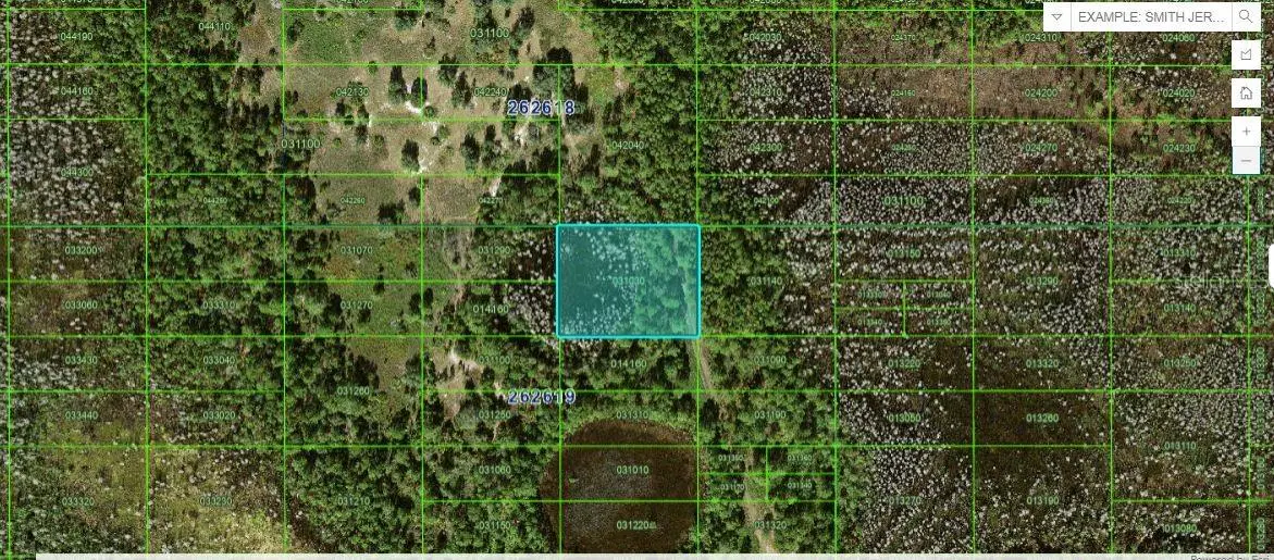 OLD GRADE RD, Polk City, FL 33868