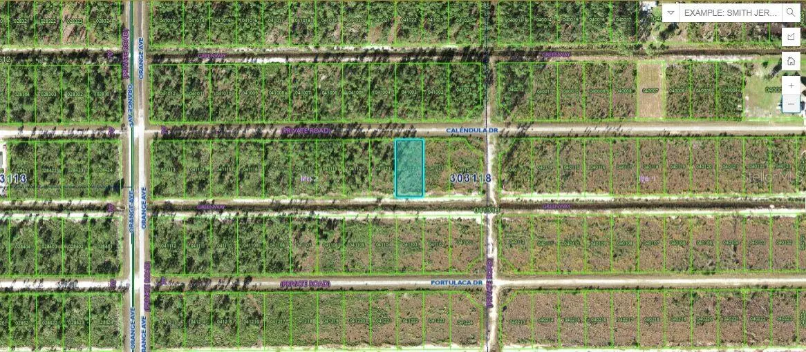 CALENDULA DR, Indian Lake Estates, FL 33855