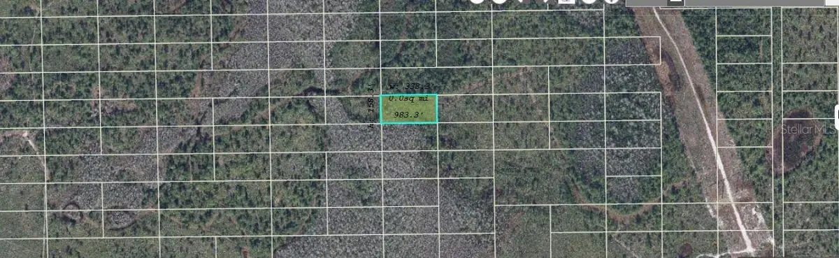 DILL RD, Orlando, FL 32820