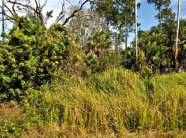 FIREBIRD RD, North Port, FL 34288