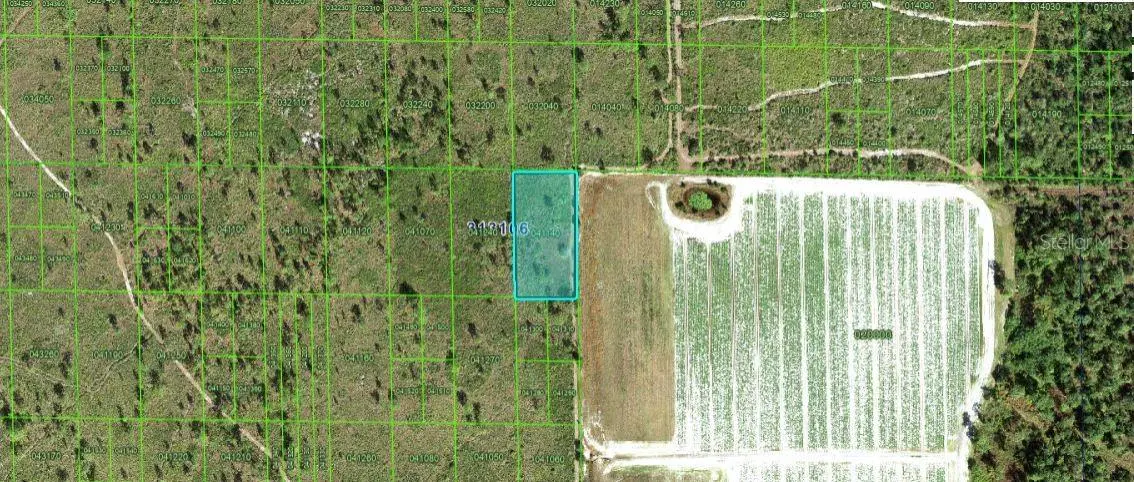 GRAPE HAMMOCK RD, Lake Wales, FL 33898