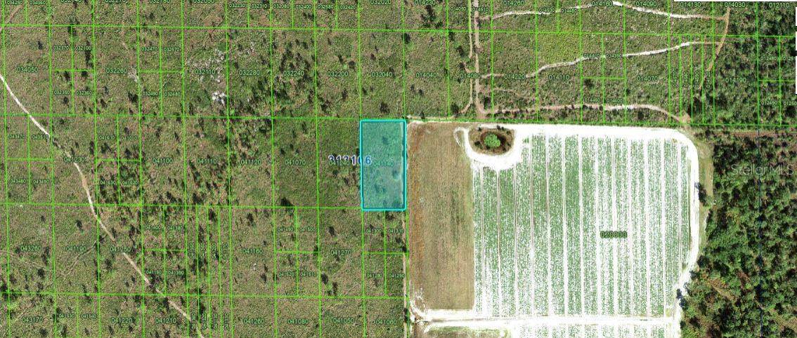 GRAPE HAMMOCK RD, Lake Wales, FL 33898