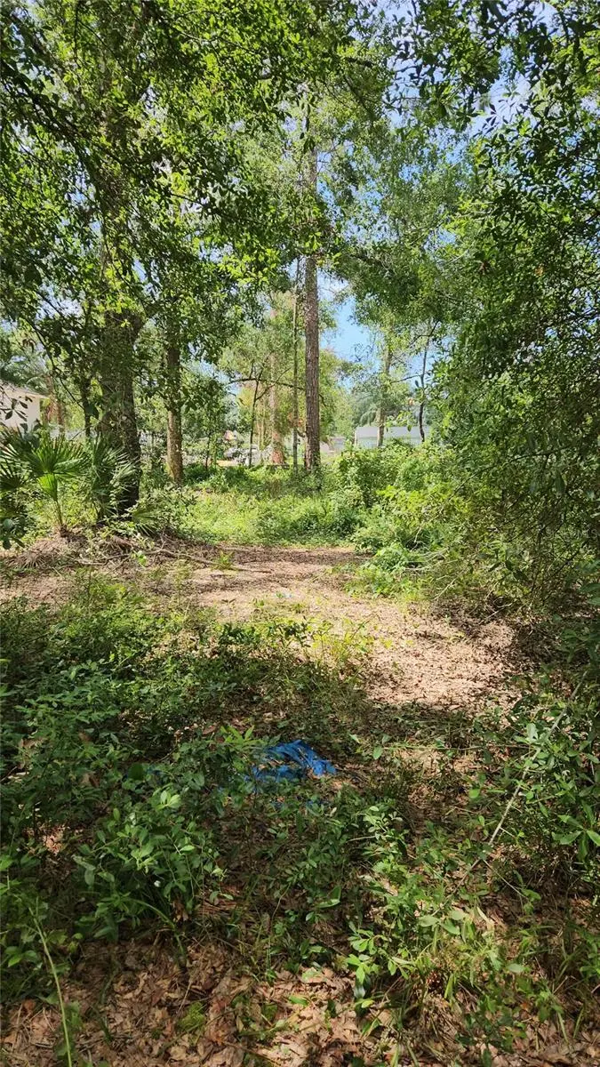 7624 ANNO ST, Tampa, FL 33625