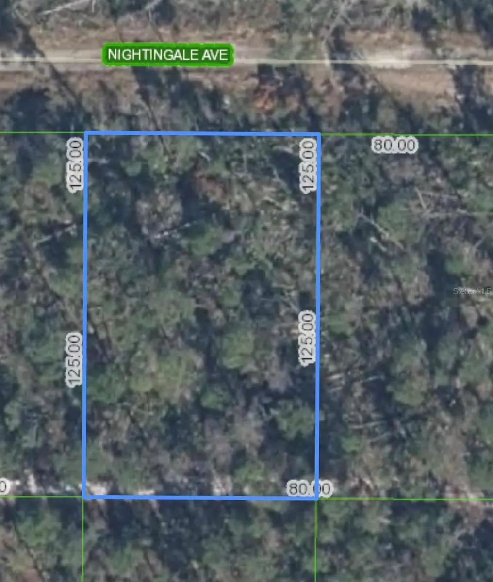 455 NIGHTINGALE AVE, Sebring, FL 33870