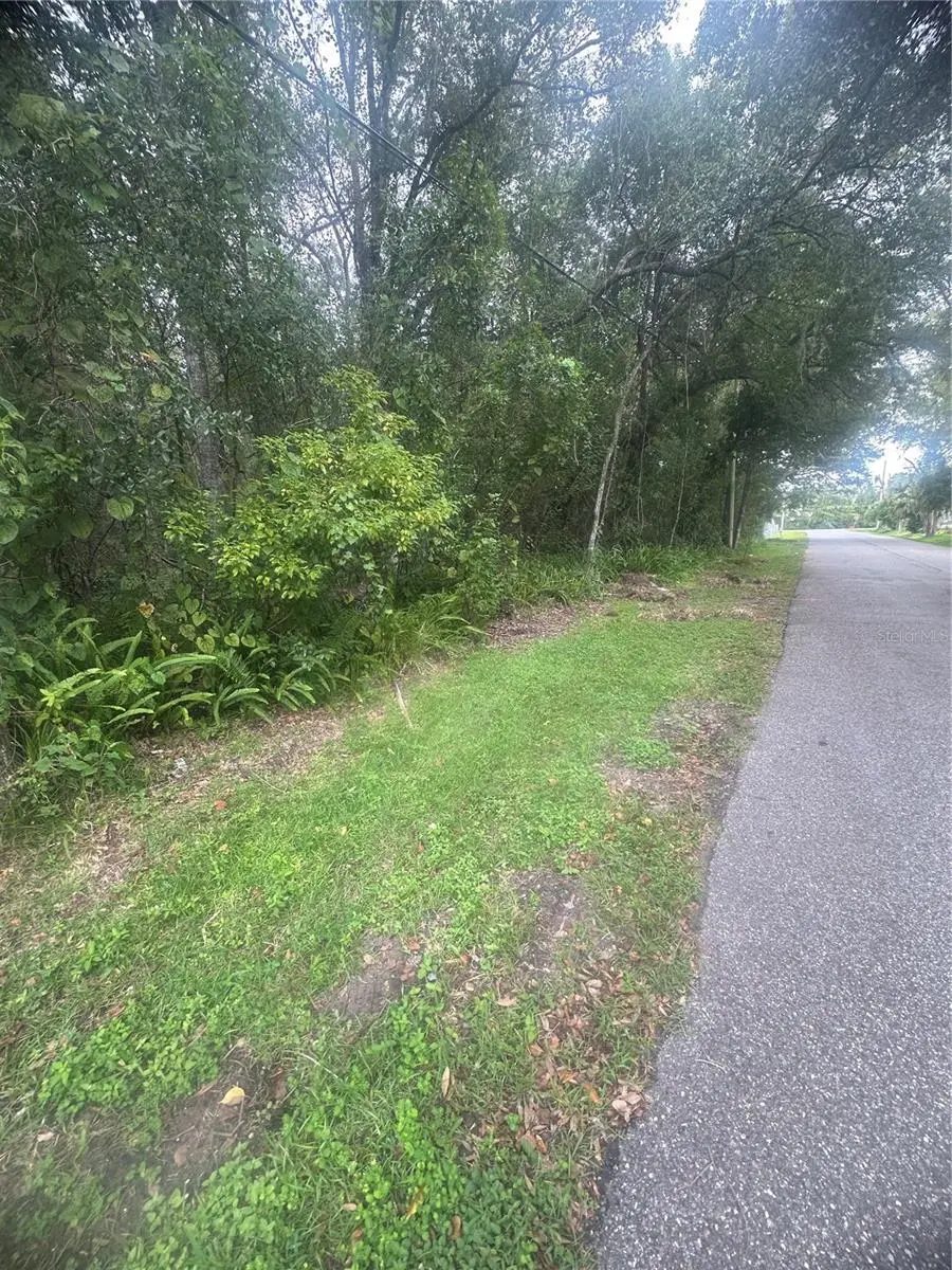 6117 CORNELIA AVE, Orlando, FL 32807