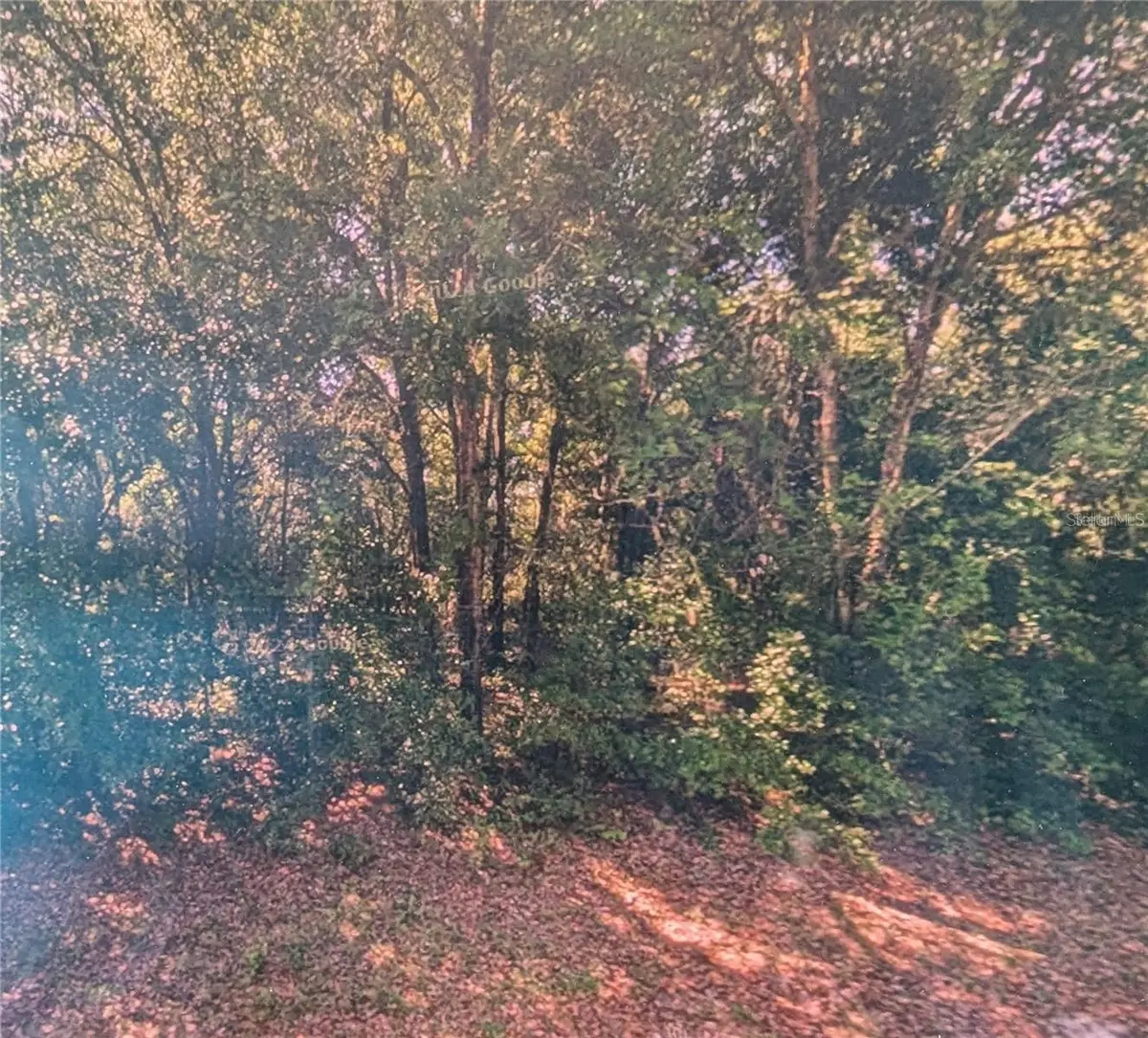 8973 N BEE WAY, Dunnellon, FL 34434