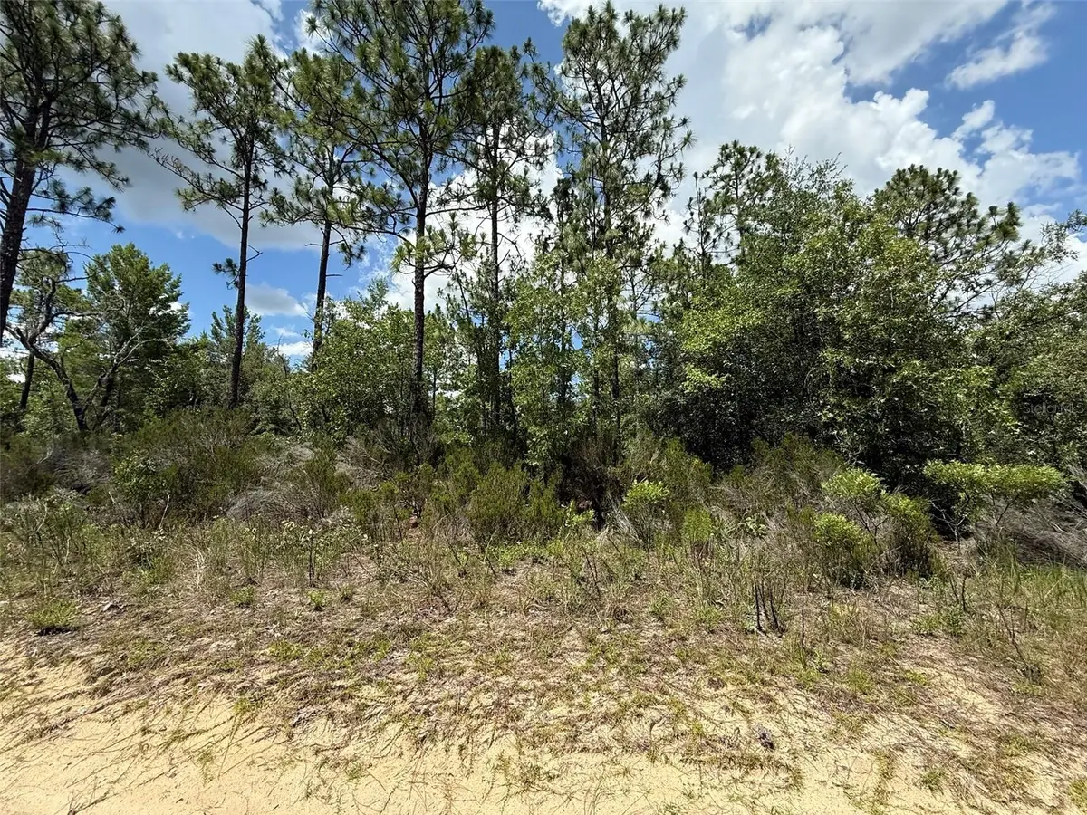 187 PARIS ST, Interlachen, FL 32148