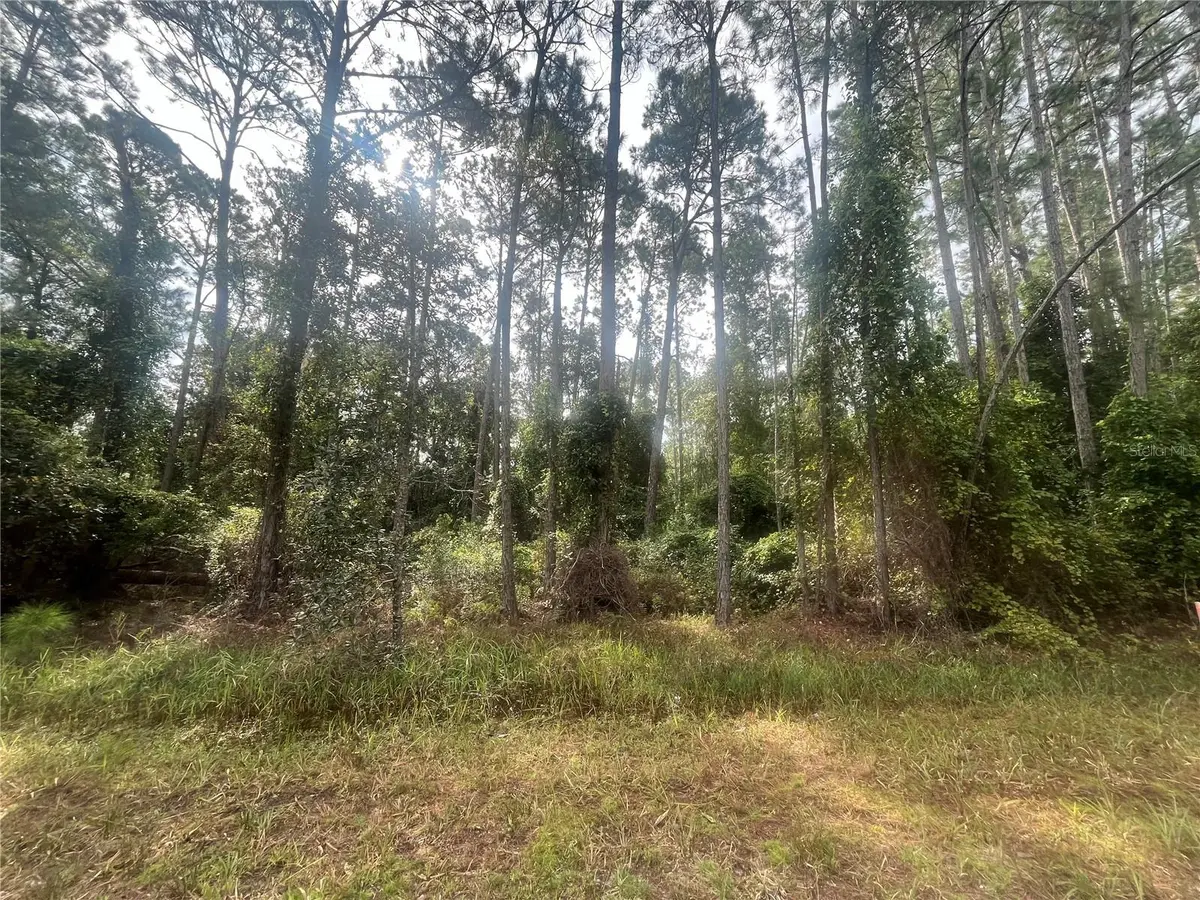 223 SE 2ND ST, Georgetown, FL 32139