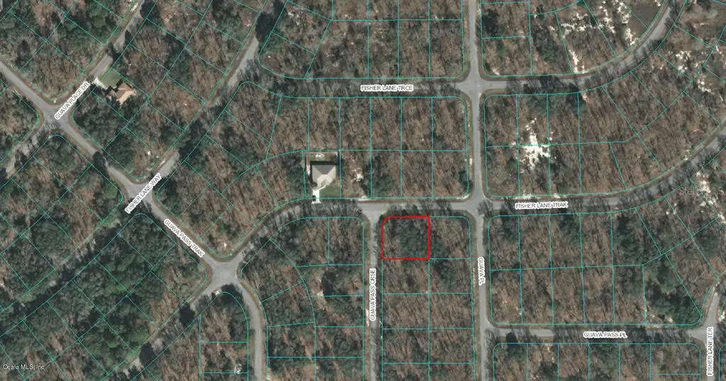 00 GUAVA PASS CRSE, Ocklawaha, FL 32179
