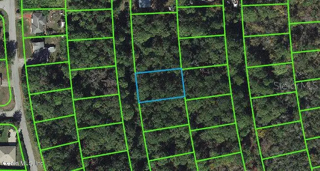 217 Harmony CT, Lake Placid, FL 33852