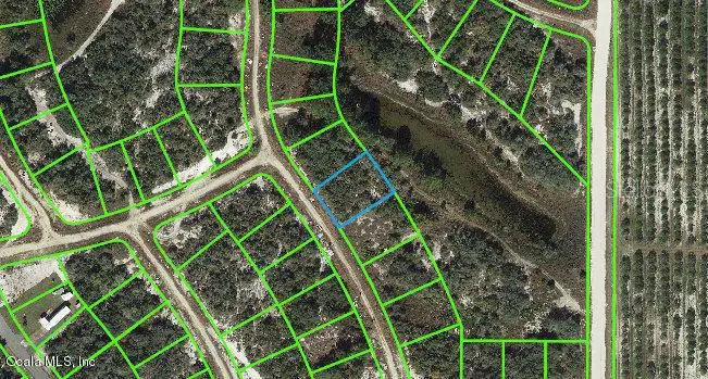 119 Summer Oak DR, Lake Placid, FL 33852